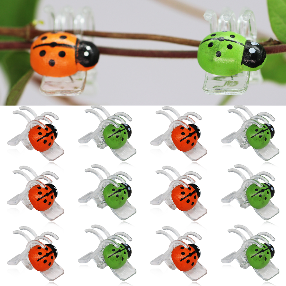 Bonsai Garden Home - 10-800PCS Ladybird Orchid Clips Colorful 5-Claw