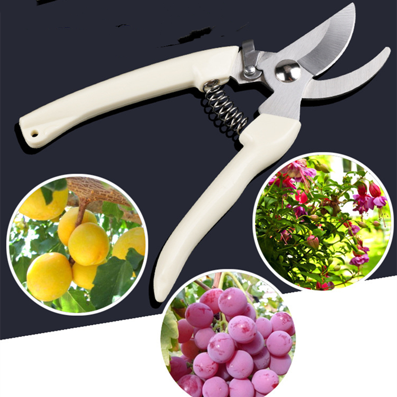 Us Bonsai Garden - Pruner Orchard and The Garden Hand