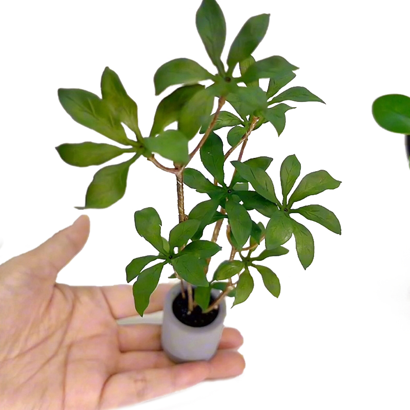 1:6 Dollhouse Miniature Potted - огляд і ціна Bonsai Garden Home