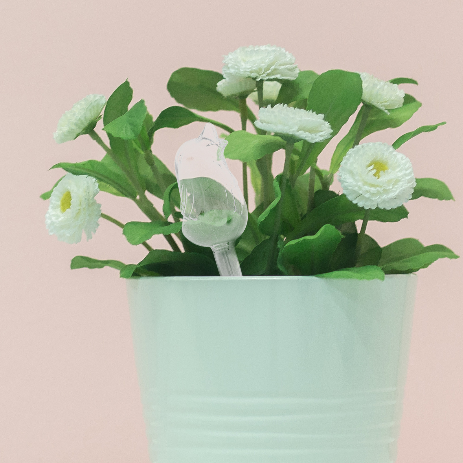 Glass Self-Watering Globes Aut - огляд і ціна Bonsai Garden Home
